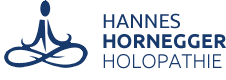 Holopathie Hannes Hornegger